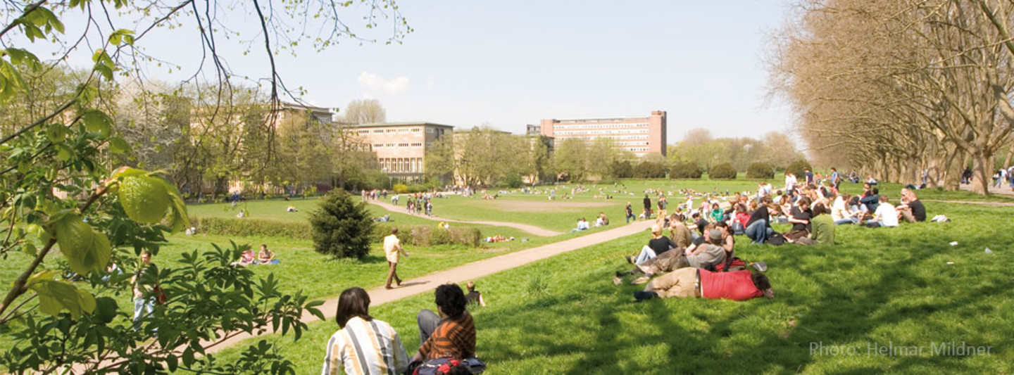 Picutre of the meadows behind the main university building