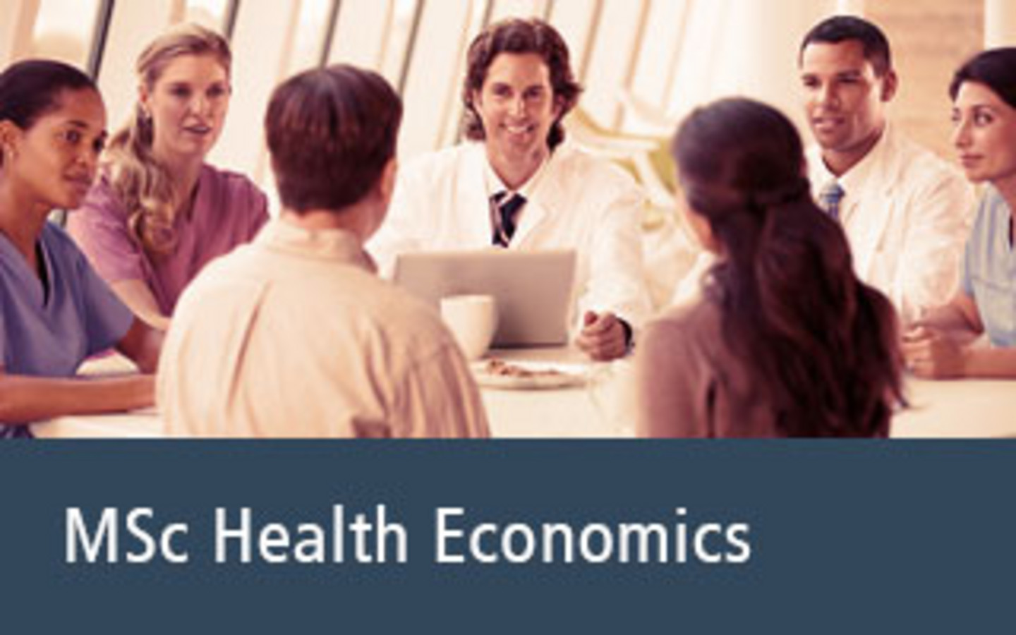 Click here for Information on STAP for Master Health Economics